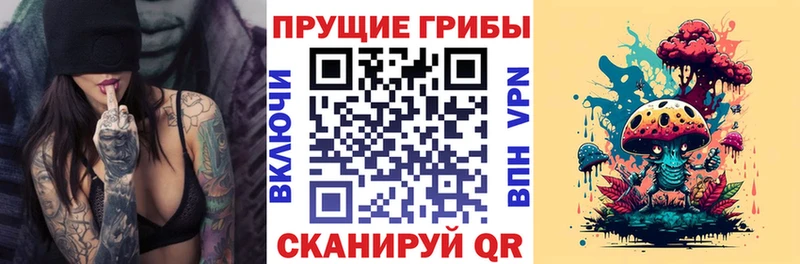 mega tor  Артёмовск  Псилоцибиновые грибы Psilocybe 